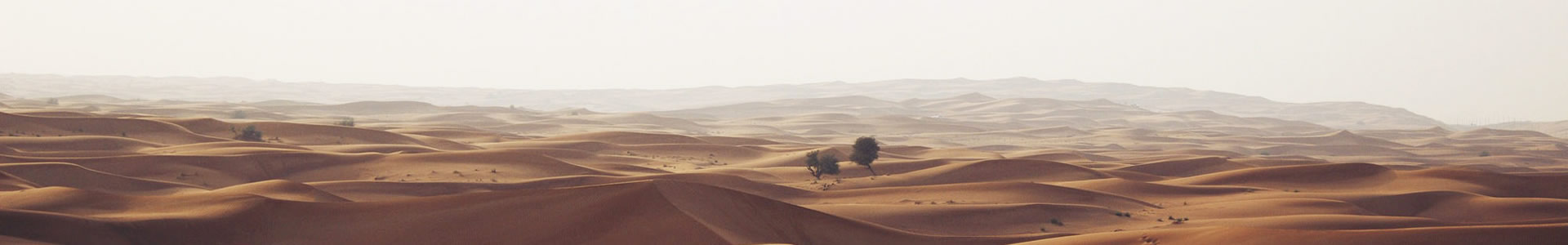 ǪӻеƼ޹˾